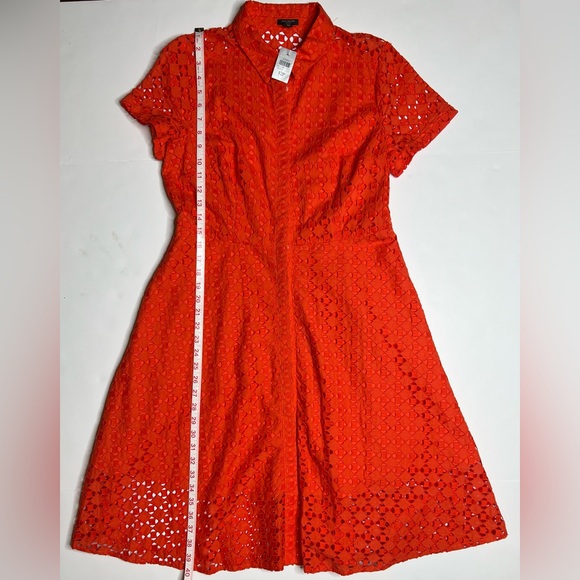 Ann Taylor Orange Eyelet A-line Flare Dress with Collar, MWT, SZ 12P - Picture 2 of 7